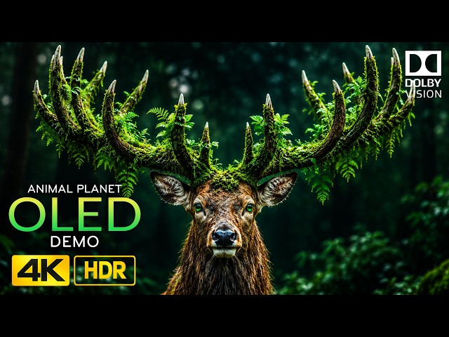 16K HDR Deep Sleep Music | Breathtaking Nature Dolby Vision 240fps (8K/4K TV)