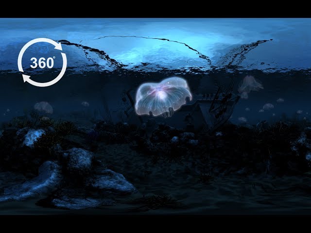 vue xstream VR360 3D Stereo Graphics