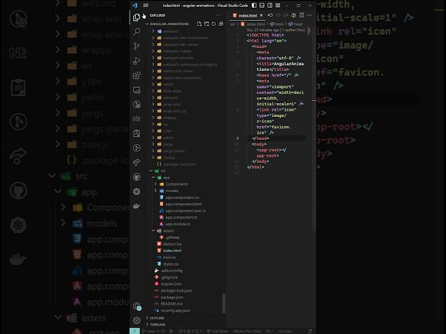 Add application wide styles in angular project #angular