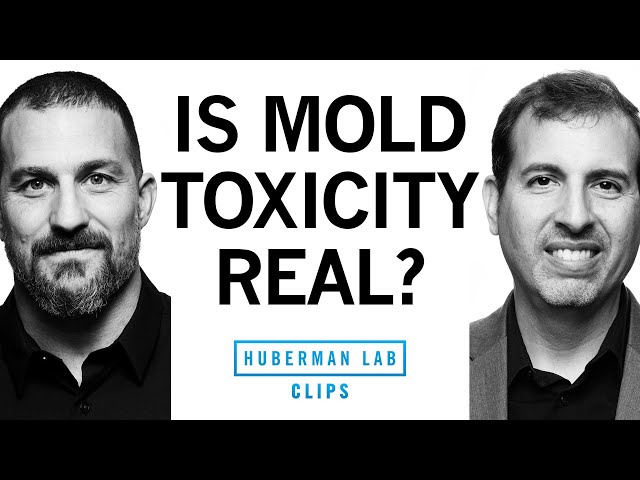 Mold Toxicity: Signs, Symptoms, & Treatment | Dr. Roger Seheult & Dr. Andrew Huberman
