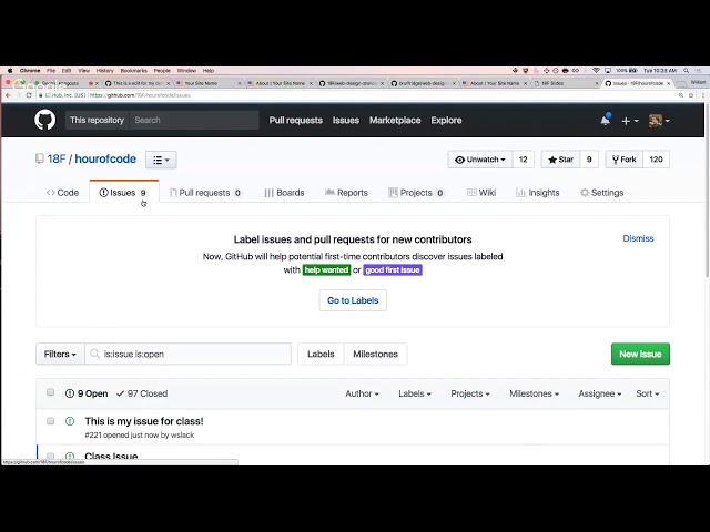 GitHub Basics: Issues