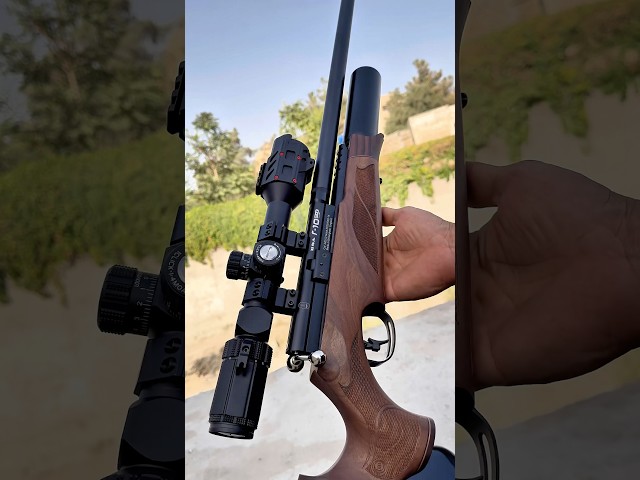 The Legendary BSA R10 PCP – British Made Air Rifle Review 🎯#airgun #hunting