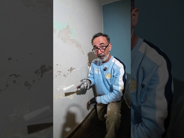 ➡️ Se te cae el revoque por la humedad?💧🏠 #diy #pinturatiza #construction #pintura #tutorial
