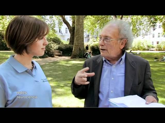 Redes 122: Estamos programados, pero para ser únicos - neurociencia