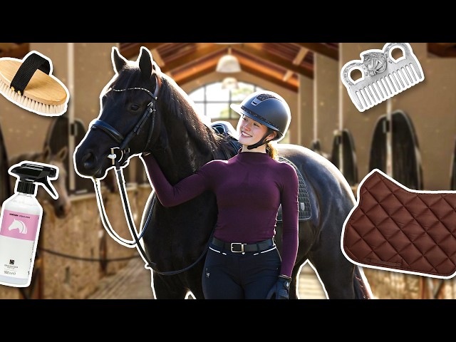 MY NEW HORSE'S ROUTINE