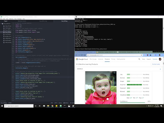 Google Vision API Face Detection Python Tutorial