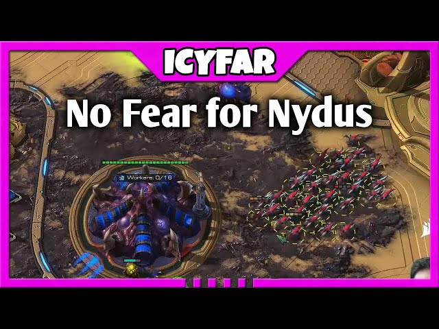 No Fear for this Nydus | Bait ICYFAR G1