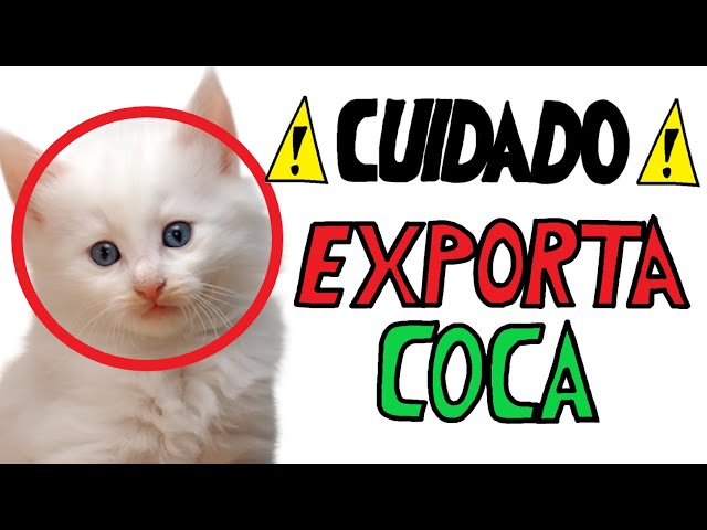 THE STORY OF THE LARGEST BLACK MARKET ON THE DEEP WEB AND DARK WEB: SILK ROAD