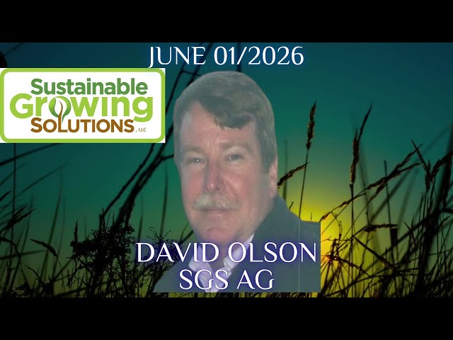David Olson SGS AG 📱