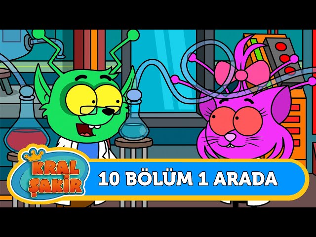 10 Bölüm 1 Arada 👑 118 - Kral Şakir