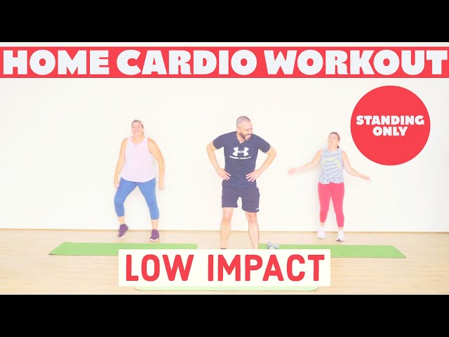 Low impact, all standing CARDIO workout. Beginner Friendly.