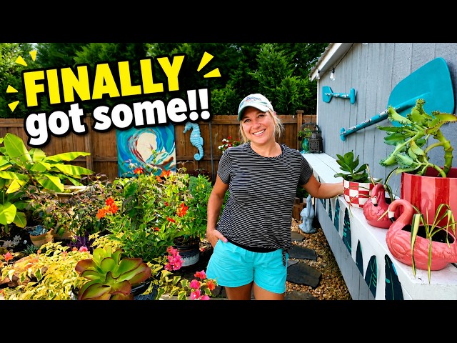 Fast Summer Garden Checklist! Easy, Fun Jobs to do Before it Rains on Me 😁🌸