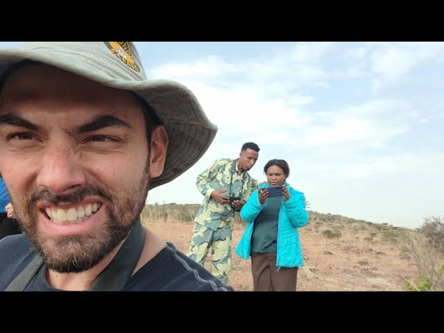 High Energy Rapid Wildlife Sightings! Live Tour! Hyenas at Our Heels!