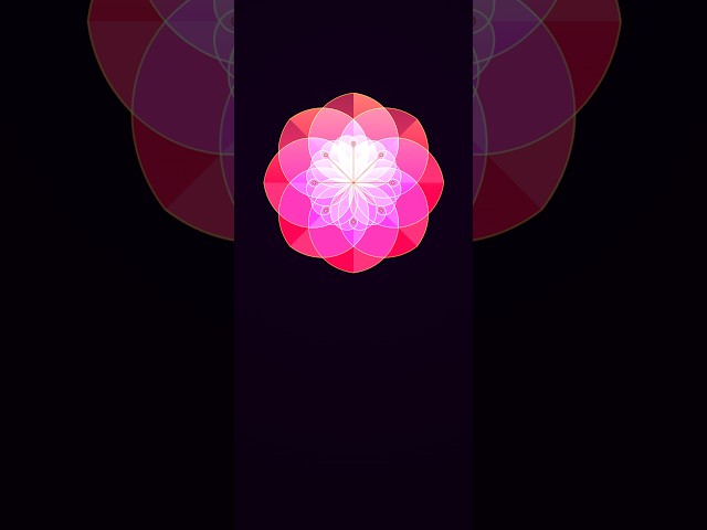Parte 1: Algoritmo euclidiano + DOM = puro JS