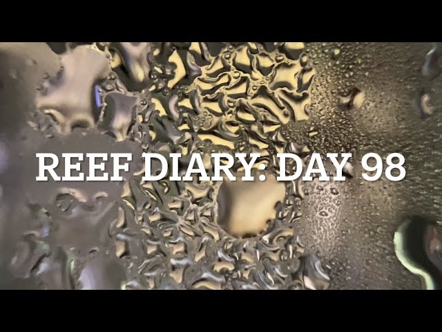 RD98: a quick water change