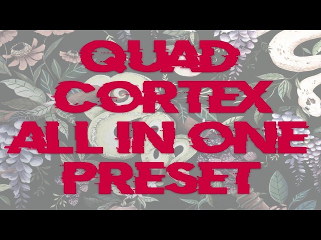 My All-in-One Quad Cortex Preset 2026.