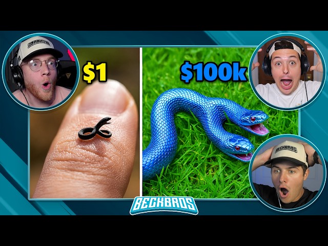 Buying a CHEAP vs EXPENSIVE Snake!