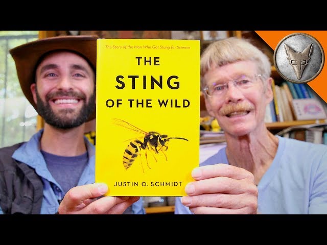 What's the MOST Painful Insect Sting in the World?