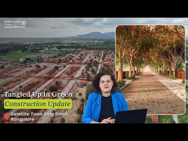 Tangled Up in Green Total Environment | Latest Construction Update - 2025 | 📞+91 95605 09669