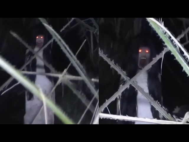 13 SCARIEST Videos Of Ghosts That Will Change Your Mind FOREVER