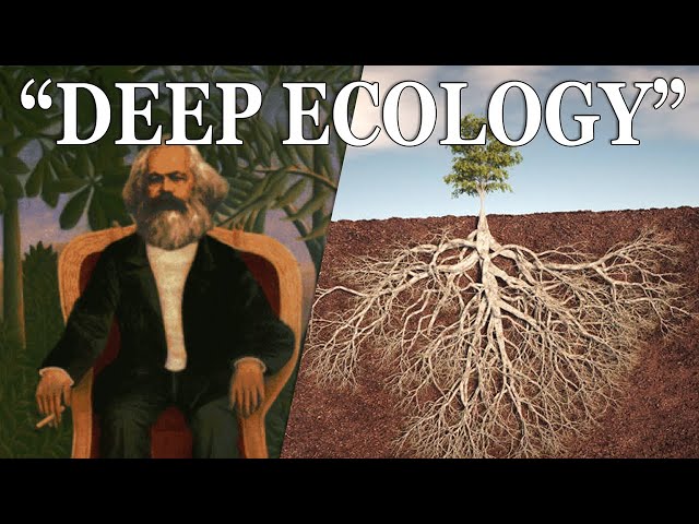 Beyond Greenwashing - A Marxist Take on Deep Ecology