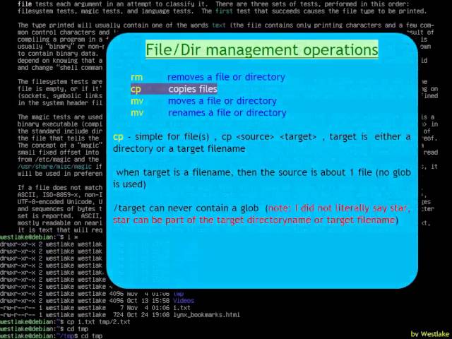 Linux basics in command line, How to use (Part III 1 of 2)(t00)