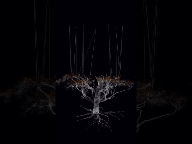 Generative art by Alex Guevara
