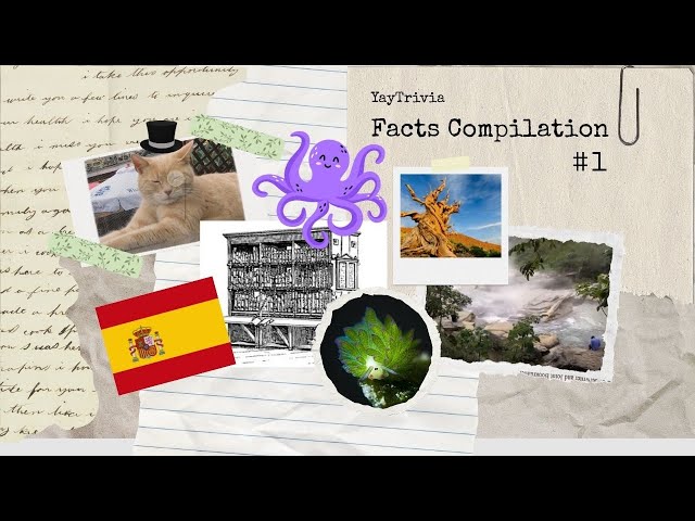 From Cute to Unhinged: Random Facts Compilation 1