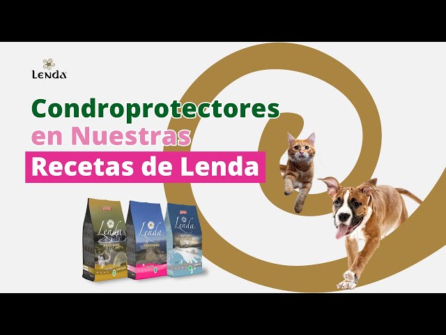 ¿Qué son los condroprotectores que utilizamos en las recetas Lenda?