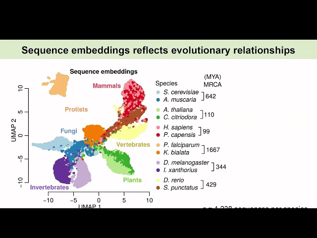 A foundation model to study the molecular principles of... - Susanne Bornelöv - Talks - UK 2026