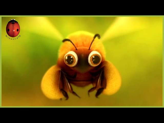Convoy | Minuscule 🐝 30' Compilation