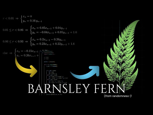 Barnsley Fern