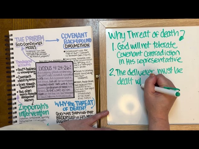 The Craziest Moses Passage Ever 😳 Visual Bible Study Notes Deep Dive 