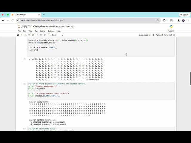 Cluster Analysis | Jaiden D’Souza 