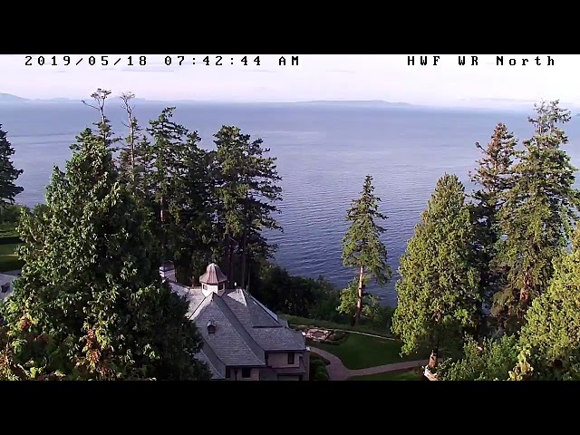 Hancock Wildlife Foundation Live Stream