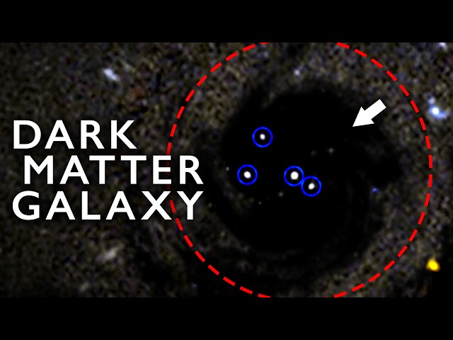 Euclid Found an Entire Galaxy Made of Dark Matter