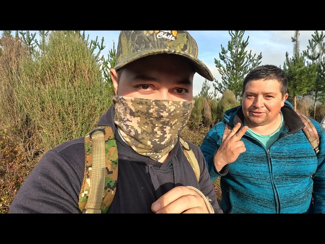 Incredible Rabbit Hunt in Trehuaco! Total Infestation!!