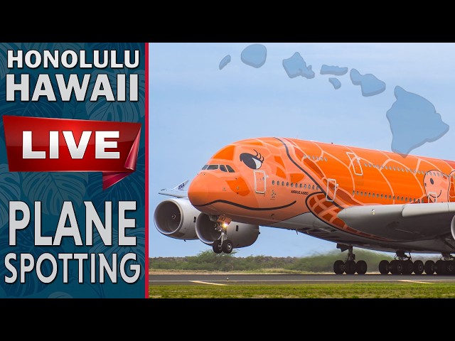 AirAction HONOLULU HAWAII - HNL/PHNL  6-2-2026