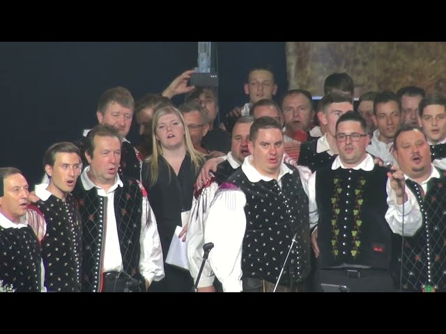 Ansambel Glas, harmonikarji Tonija Sotoška in vsi nastopajoči - V dolini tihi (v živo)