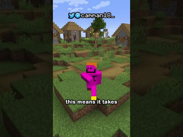 THE MOST USELESS ITEM