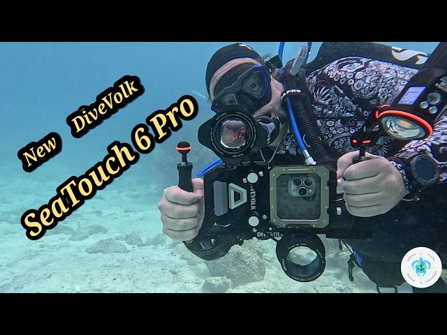 DIVEVOLK SeaTouch 6 Pro Underwater Field Test | iPhone 16 Pro Max