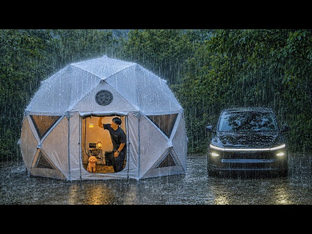 Heavy Rain Camping in a Tesla Model Y Juniper with My Dog . Sound of Rain ASMR