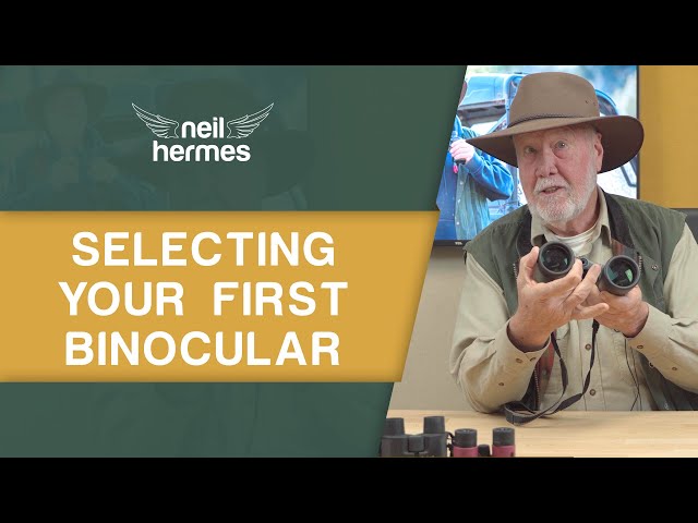 Selecting your first binoculars for birdwatching - The 5 things you need to know