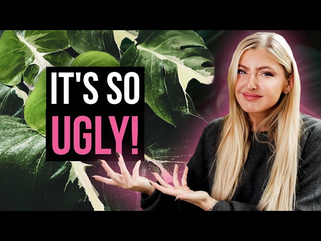 I Don’t Get the Hype Around These Plants (At All)