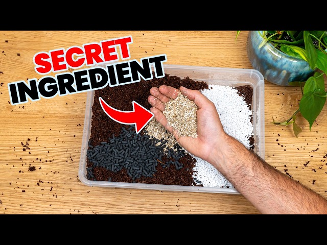 Make Your Own Soil That Your Plants Will Love