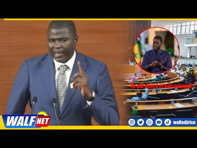 Revision of Article 37: Amadou Ba (Pastef) gives a lecture on good governance and transparency