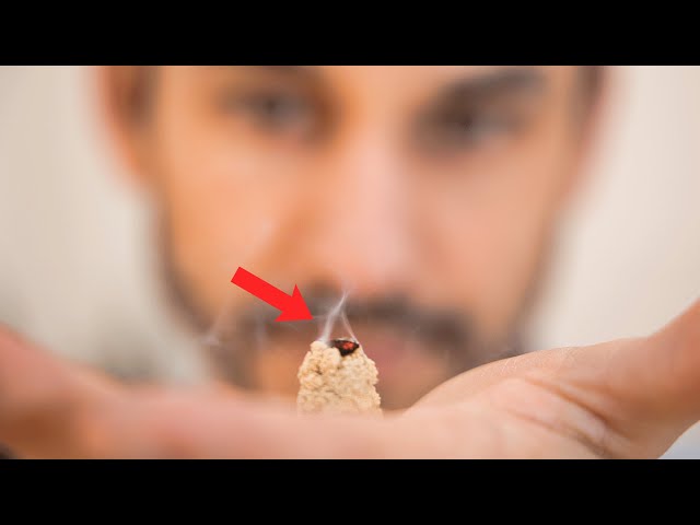 What is Moxibustion (Moxa)?