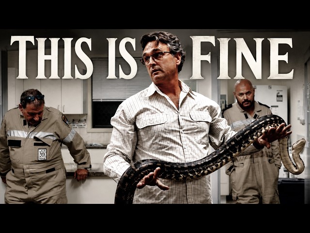 Julian Craig can read a snake's behaviour in real time.