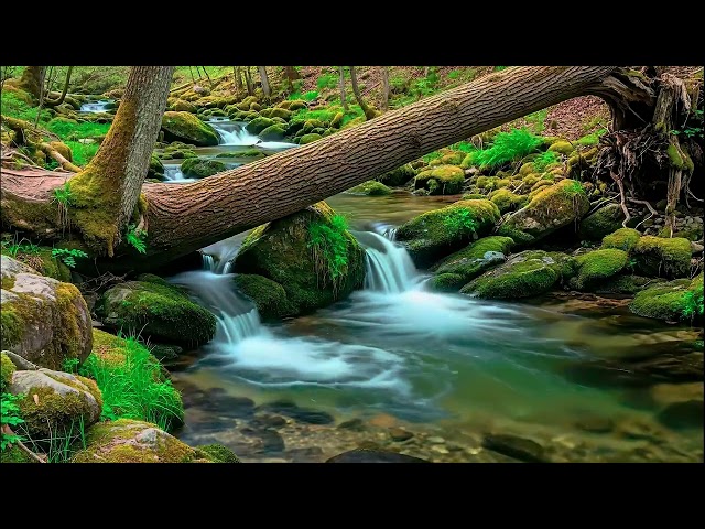 Solve Math Problems - Focus Lake Water Sound for Calculus Study & Deep Logic Flow