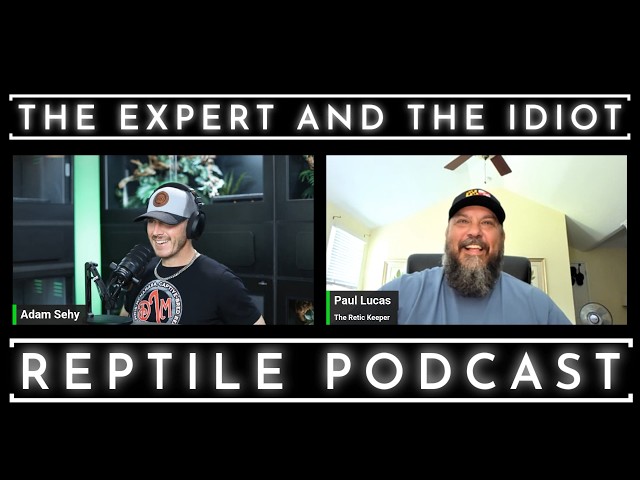 144 - Keeping Monster Reticulated Pythons with Paul Lucas - The Expert and The Idiot